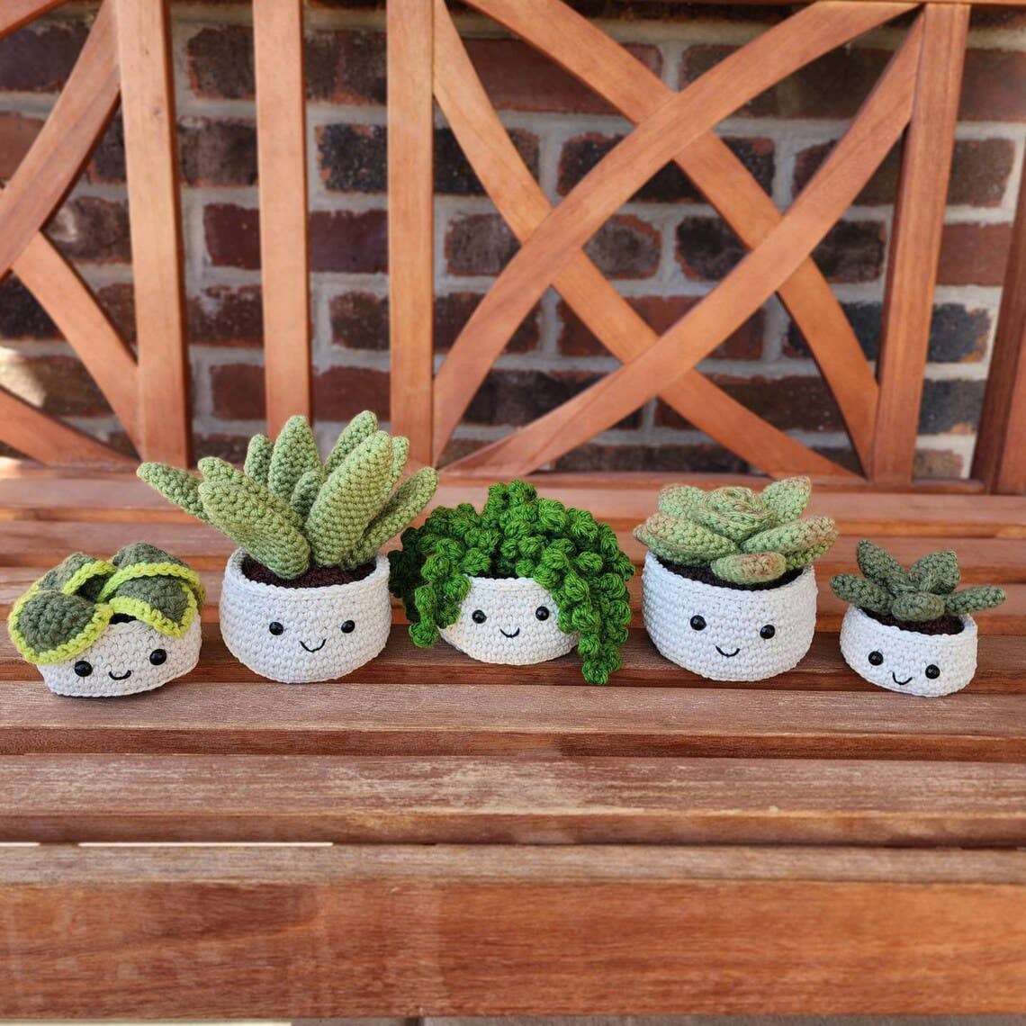 TOMOPOD LLC - Crochet Succulent Plant, Houseplant Decor, Plant Lover Gift: Dwarf Snake