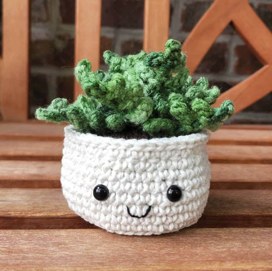 TOMOPOD LLC - Crochet Succulent Plant, Houseplant Decor, Plant Lover Gift: Dwarf Snake