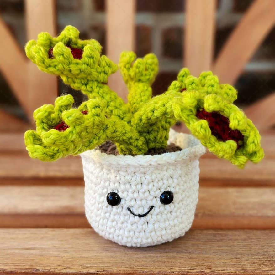 TOMOPOD LLC - Crochet Succulent Plant, Houseplant Decor, Plant Lover Gift: Dwarf Snake