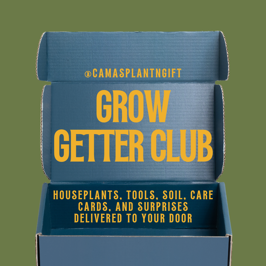 Join the Grow Getter Club: Your Monthly Dose of Plant Joy!